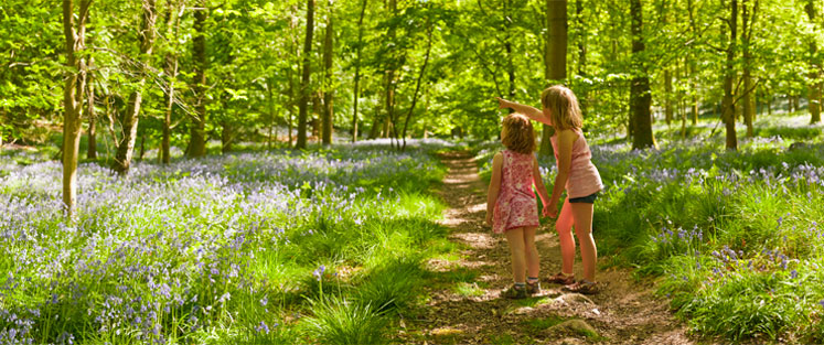 Two Children exploring a Nature Trail